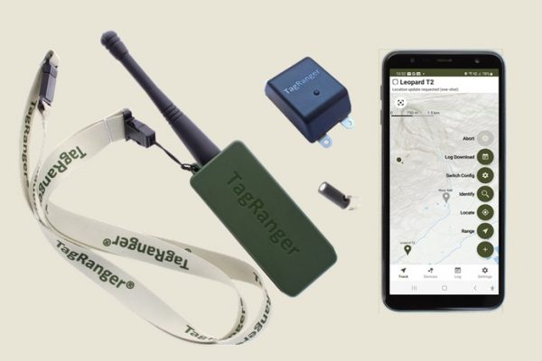 Software Development